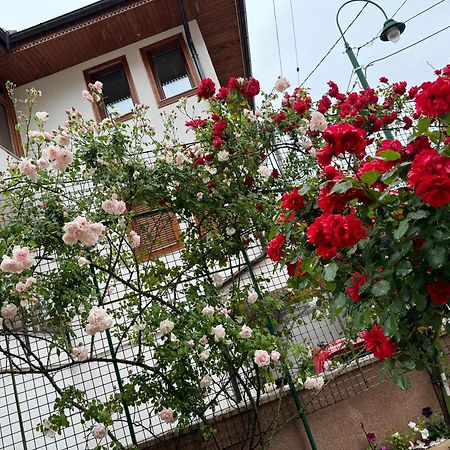 Imas Apartment Szarajevó Kültér fotó