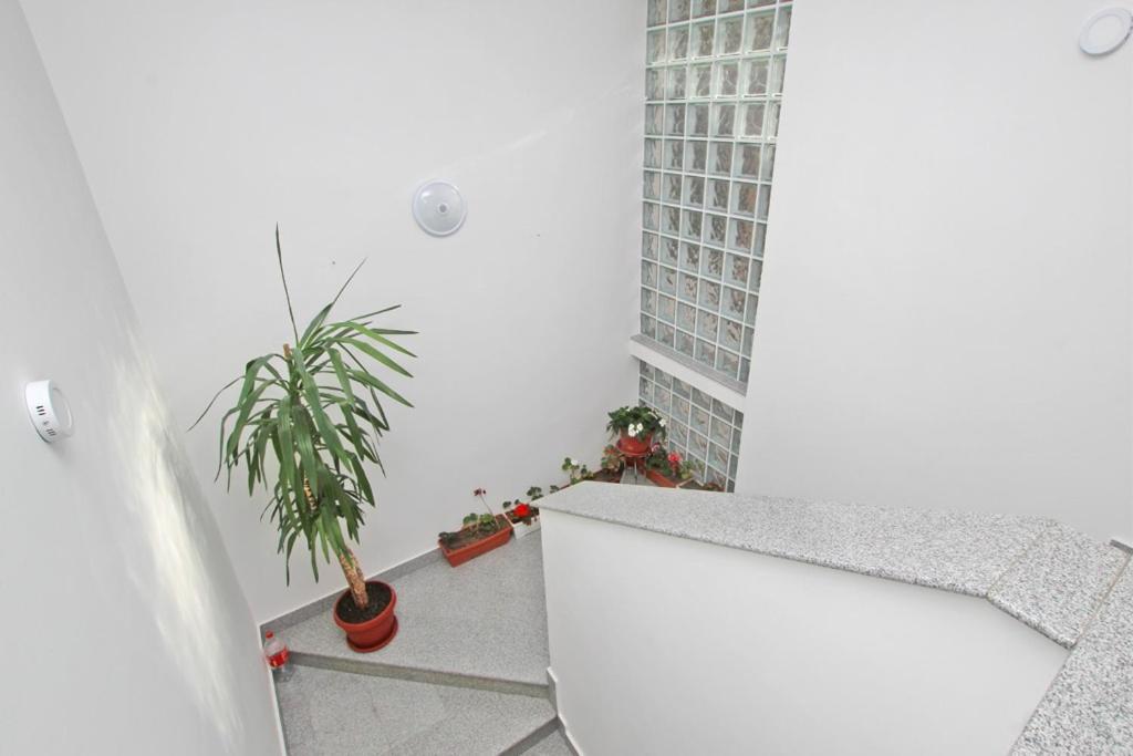 Imas Apartment Szarajevó Kültér fotó
