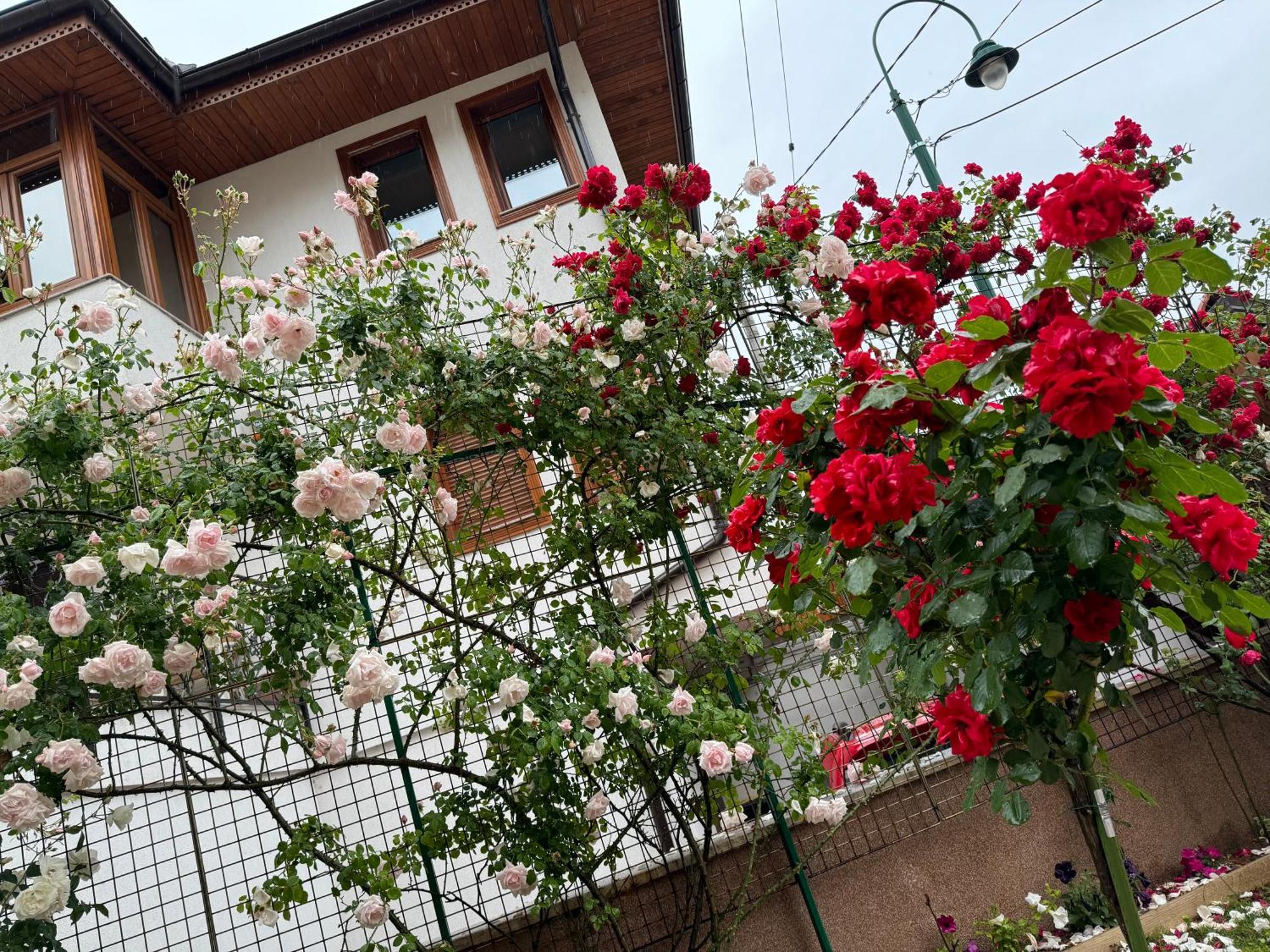 Imas Apartment Szarajevó Kültér fotó