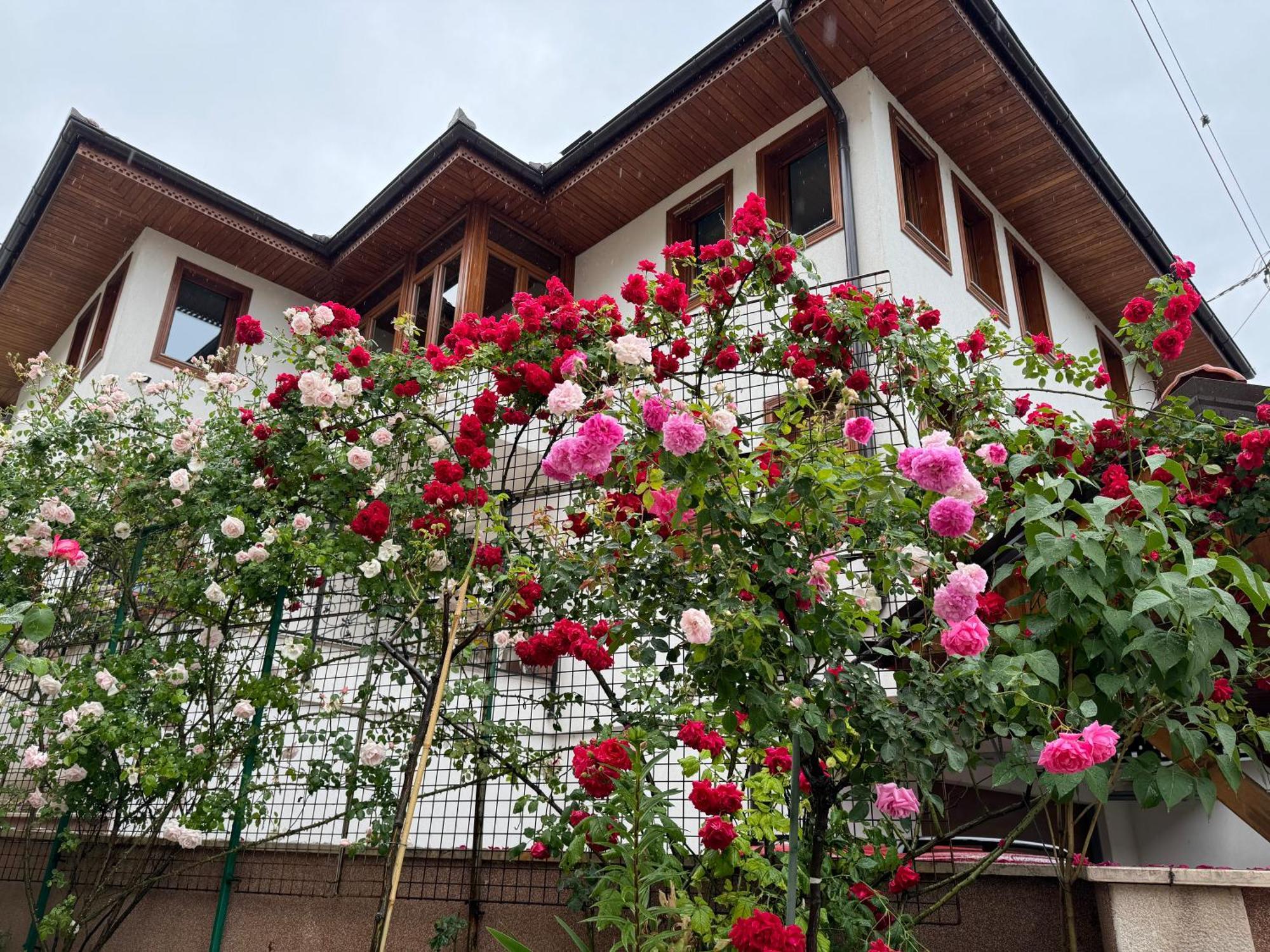 Imas Apartment Szarajevó Kültér fotó